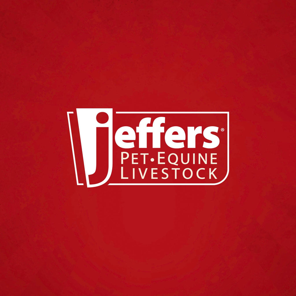 Jeffers Heavy Weight Stainless Steel Pet Bowls – Durable Pet Food & Water Dish, Chew-Resistant, Dishwasher Safe