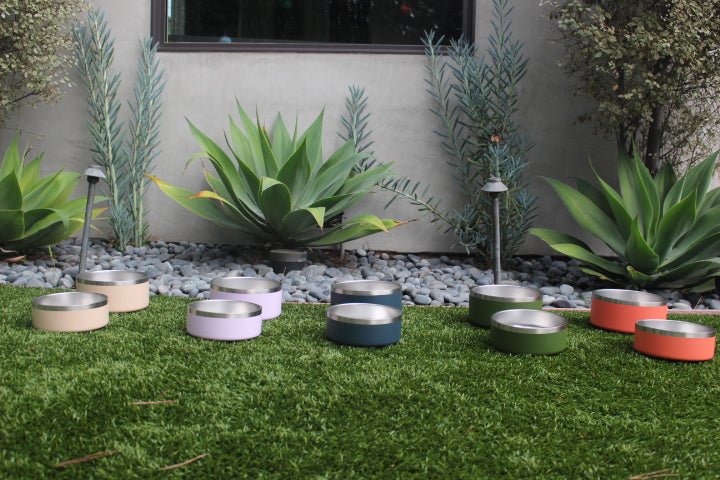 Tilley + Me Stainless Steel Pet Bowl – Non-Slip, Durable & Dishwasher Safe | 32oz and 64oz