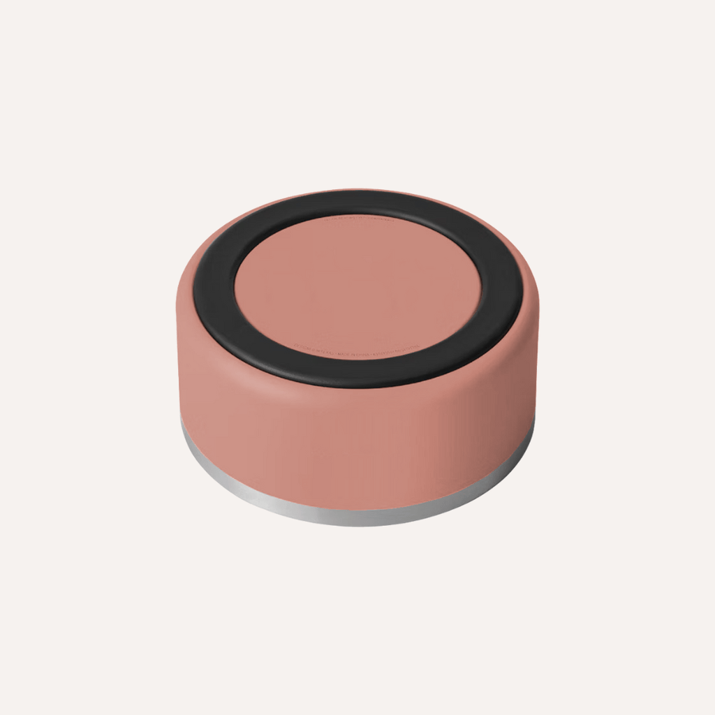 Tilley + Me Stainless Steel Pet Bowl – Non-Slip, Durable & Dishwasher Safe | 32oz and 64oz