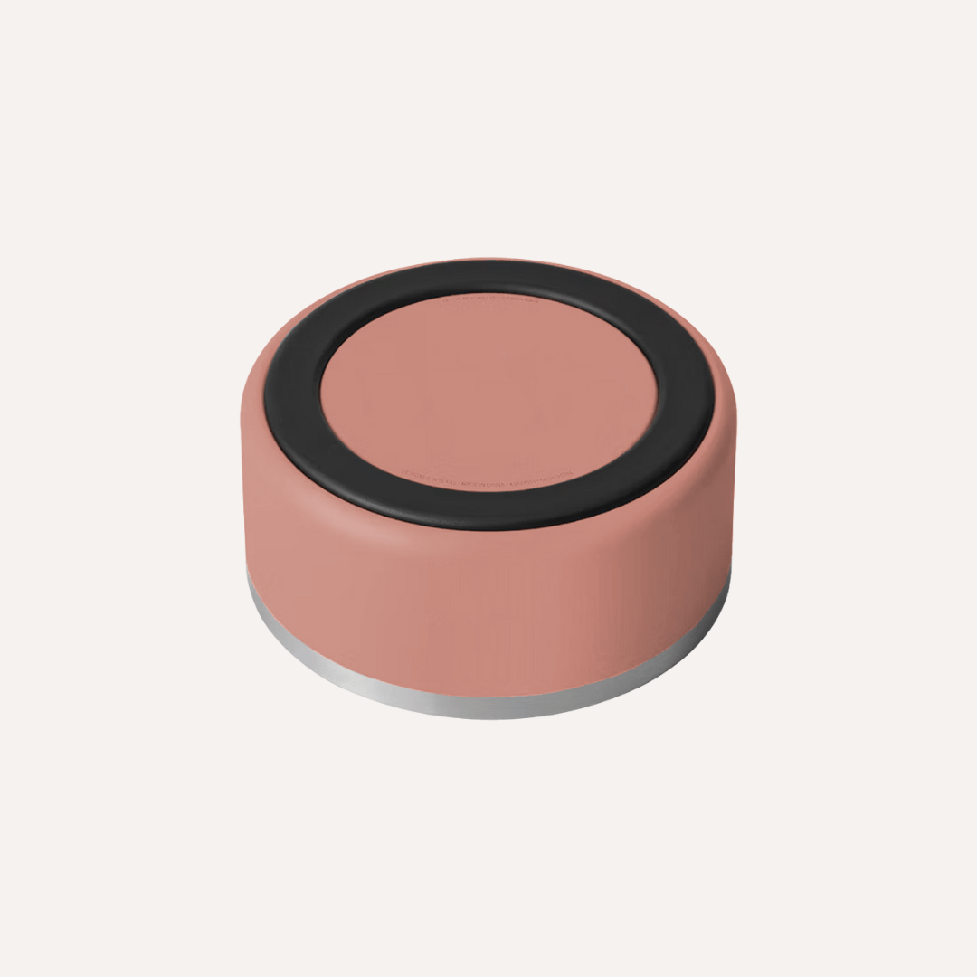 Tilley + Me Stainless Steel Pet Bowl – Non-Slip, Durable & Dishwasher Safe | 32oz and 64oz